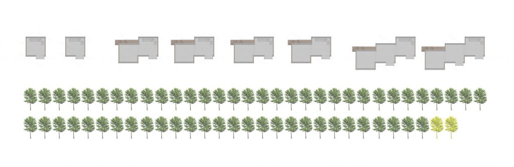 concept describing number of preserved trees