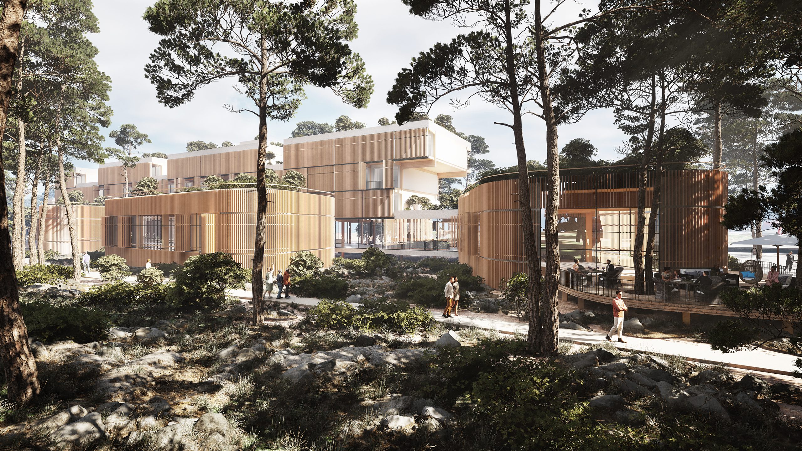 Eco-hotel architecture competition 3d visualization pinewood forest hotel