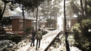 architecture competition 3d visualization pinewood forest pavilions